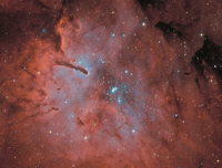 IC4954